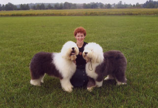Old English Sheepdog