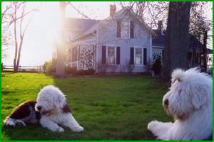 Farm Photo